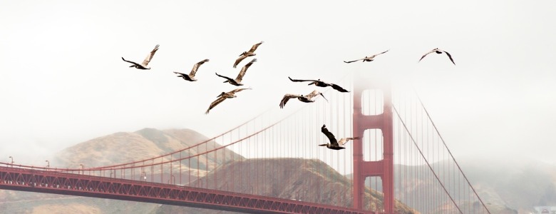 Create a custom migration in Django